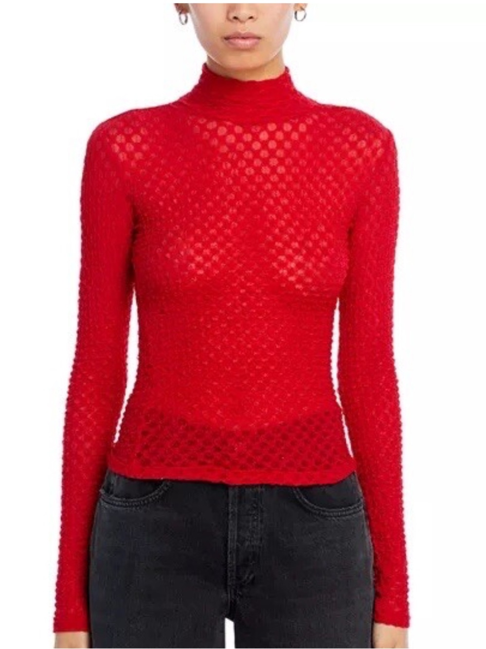 Frame Cherry Red Sheer Mesh Lace Sheer Turtleneck Long Sleeve Top | XS